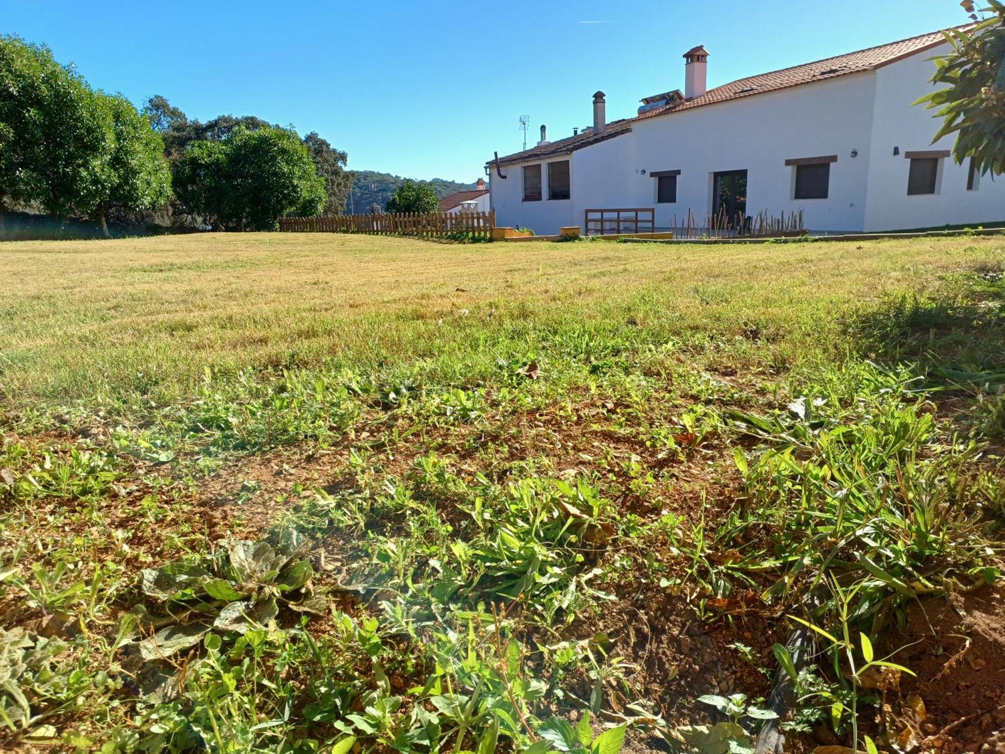 Villa El Pico De Aroche Extérieur photo